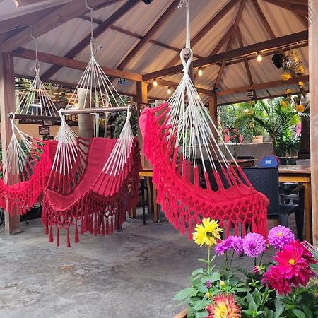 Hostal Hilltop 萨兰托 外观 照片